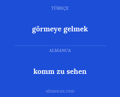 komm zu sehen - görmeye gelmek