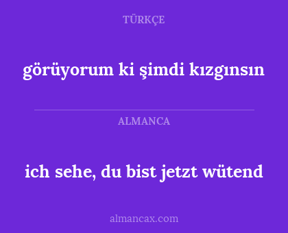 görüyorum ki şimdi kızgınsın - ich sehe, du bist jetzt wütend