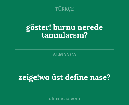 zeige!wo üst define nase? - göster! burnu nerede tanımlarsın?