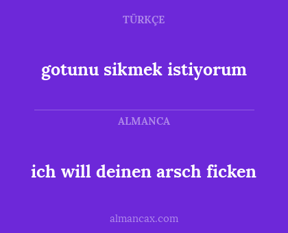 ich will deinen arsch ficken - gotunu sikmek istiyorum