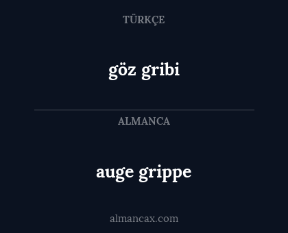 auge grippe - göz gribi