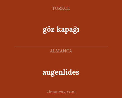göz kapağı - augenlides