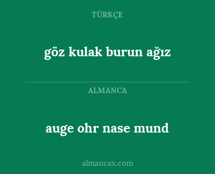 auge ohr nase mund - göz kulak burun ağız