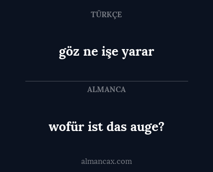 wofür ist das auge? - göz ne işe yarar