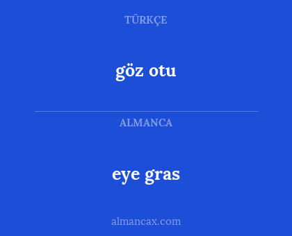 eye gras - göz otu