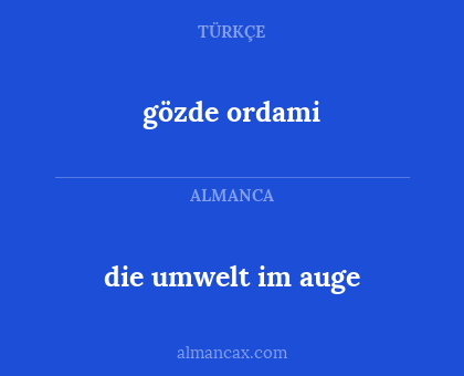 gözde ordami - die umwelt im auge