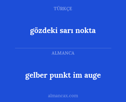gelber punkt im auge - gözdeki sarı nokta