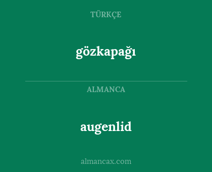 augenlid - gözkapağı