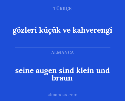 seine augen sind klein und braun - gözleri küçük ve kahverengi