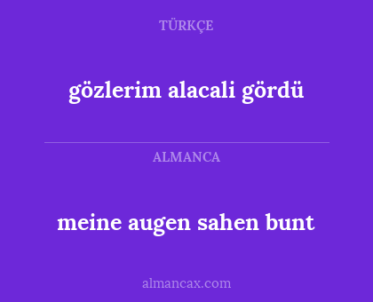 meine augen sahen bunt - gözlerim alacali gördü