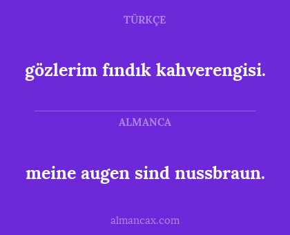 meine augen sind nussbraun. - gözlerim fındık kahverengisi.