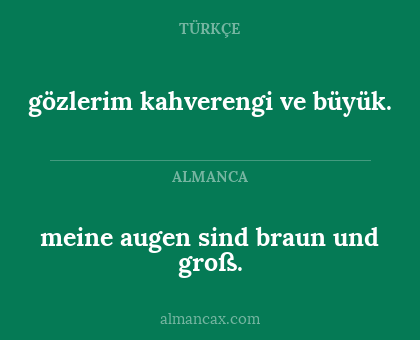 gözlerim kahverengi ve büyük. - meine augen sind braun und groß.