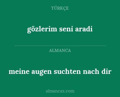 meine augen suchten nach dir - gözlerim seni aradi