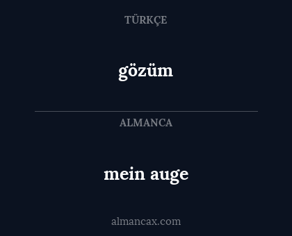 mein auge - gözüm