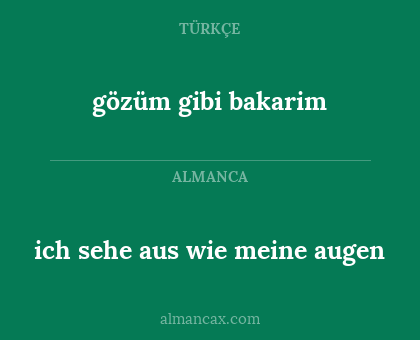 ich sehe aus wie meine augen - gözüm gibi bakarim
