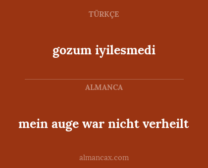 gozum iyilesmedi - mein auge war nicht verheilt