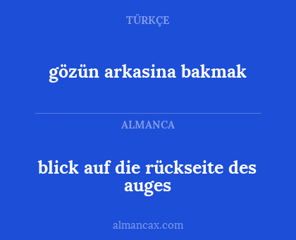 blick auf die rückseite des auges - gözün arkasina bakmak