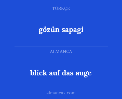 blick auf das auge - gözün sapagi