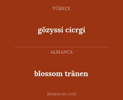 blossom tränen - gözyssi cicrgi