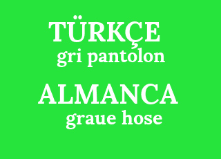 gri+pantolon-graue+hose.png