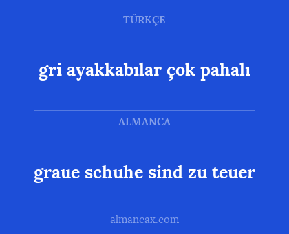 gri ayakkabılar çok pahalı - graue schuhe sind zu teuer