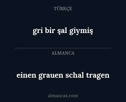 gri bir şal giymiş - einen grauen schal tragen