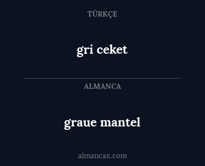 gri ceket - graue mantel