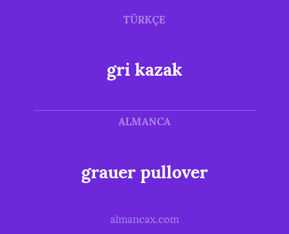 grauer pullover - gri kazak