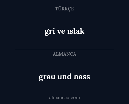 gri ve ıslak - grau und nass