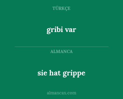 sie hat grippe - gribi var