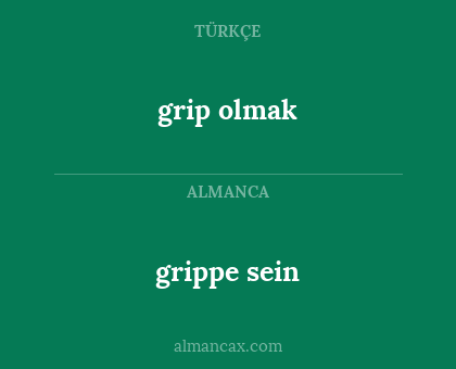 grippe sein - grip olmak