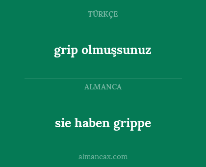 sie haben grippe - grip olmuşsunuz