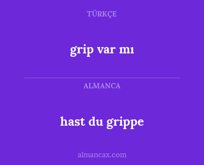hast du grippe - grip var mı