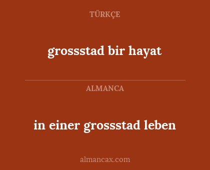 in einer grossstad leben - grossstad bir hayat