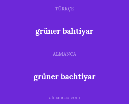 grüner bahtiyar - grüner bachtiyar