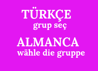 grup+se%C3%A7-w%C3%A4hle+die+gruppe.png