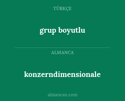 grup boyutlu - konzerndimensionale