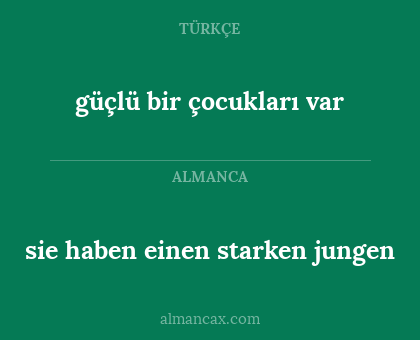 güçlü bir çocukları var - sie haben einen starken jungen