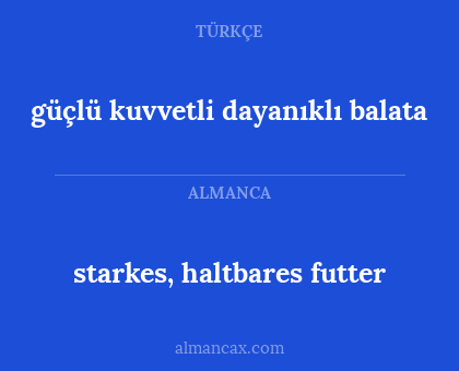 starkes, haltbares futter - güçlü kuvvetli dayanıklı balata