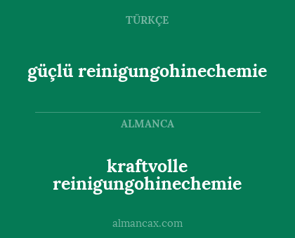 güçlü reinigungohinechemie - kraftvolle reinigungohinechemie