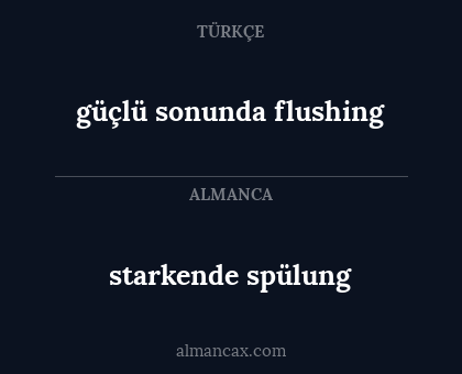 starkende spülung - güçlü sonunda flushing