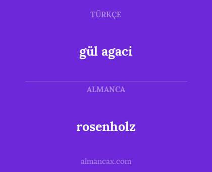 gül agaci - rosenholz