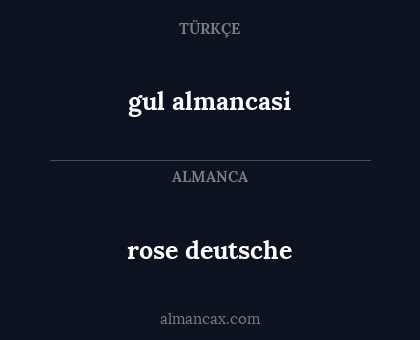 gul almancasi - rose deutsche