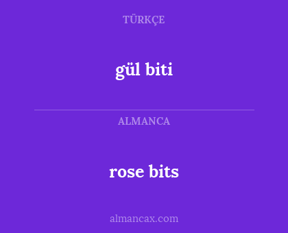 rose bits - gül biti