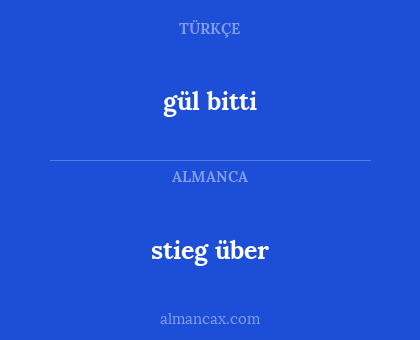 stieg über - gül bitti