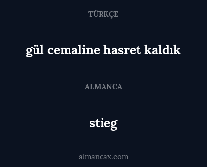 stieg - gül cemaline hasret kaldık