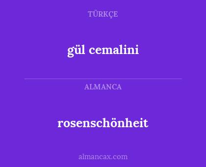 gül cemalini - rosenschönheit
