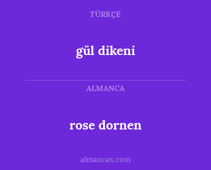 rose dornen - gül dikeni