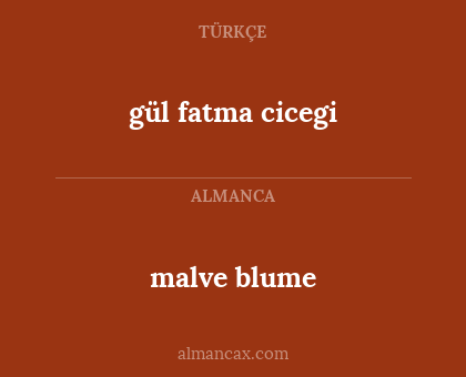 malve blume - gül fatma cicegi