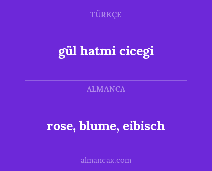 gül hatmi cicegi - rose, blume, eibisch